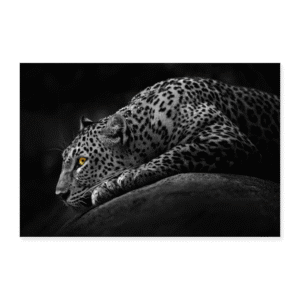 Poster 12" x 8" (30x20 cm)