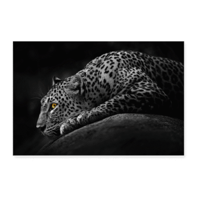 Poster 12" x 8" (30x20 cm)