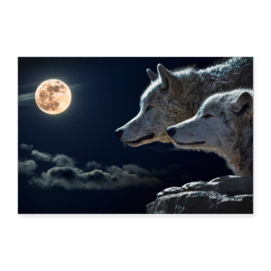 Poster 12" x 8" (30x20 cm)